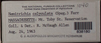 Image Associated With the Occurence